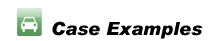 Case Examples