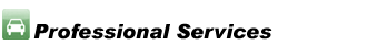 Professional Services